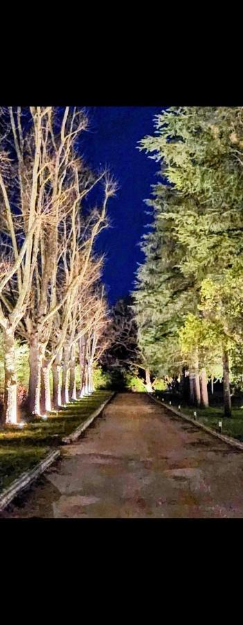 La Casa Nel Parco Luxury B&B サン・ラッザロ・ディ・サーヴェナ エクステリア 写真